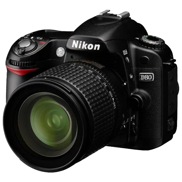 Комплексная чистка Nikon D80