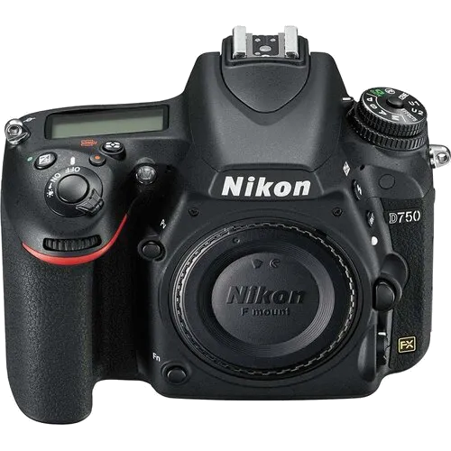 Комплексная чистка Nikon D750 Body