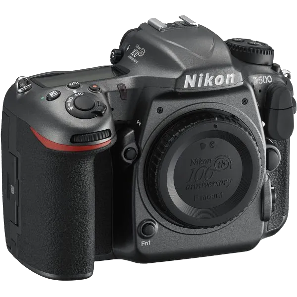 Комплексная чистка Nikon D500