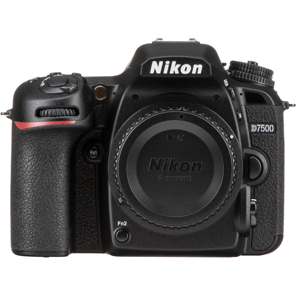 Комплексная чистка Nikon D7500